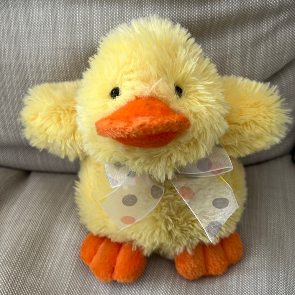 Yellow fluffy chick